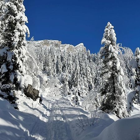 Chalet Du Grand Cerf Servoz Dış mekan fotoğraf