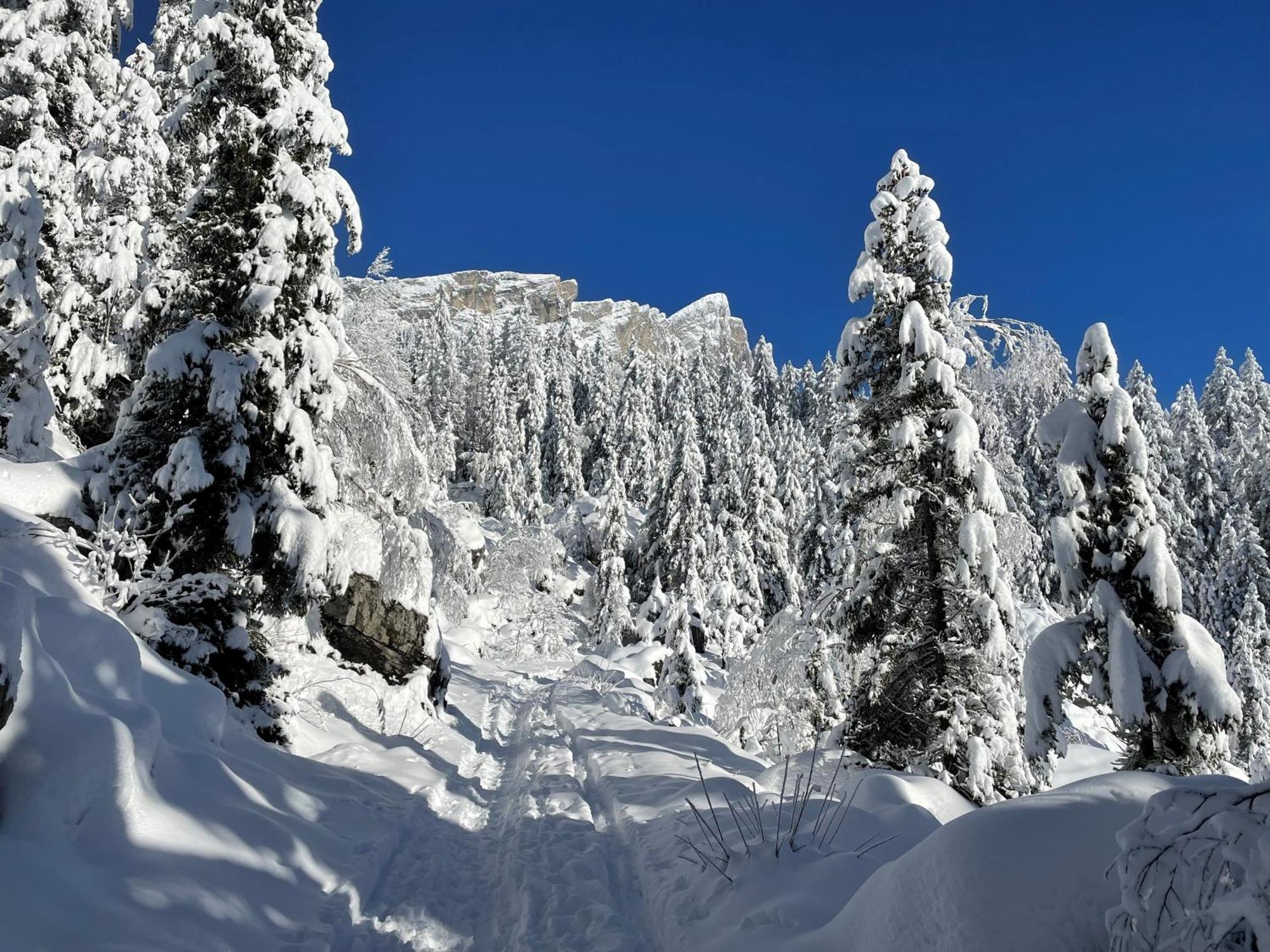 Chalet Du Grand Cerf Servoz Dış mekan fotoğraf